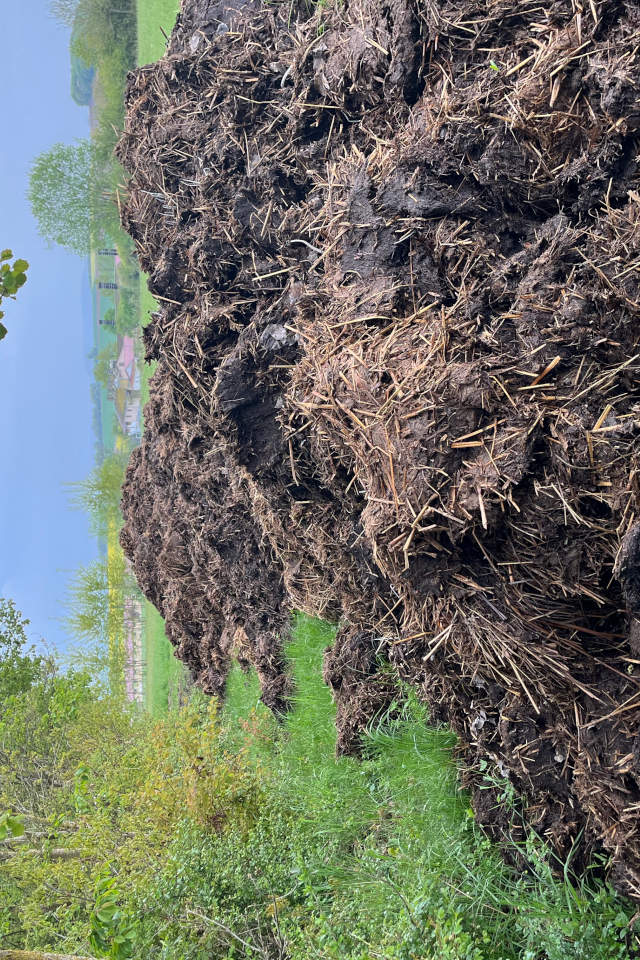 Idealerweise lagert der Ackerbauer den Mist gleich am Feldrand des Ackers, auf den der Mist in der Folgekultur ausgebracht werden soll (Foto: Leah Hornung)