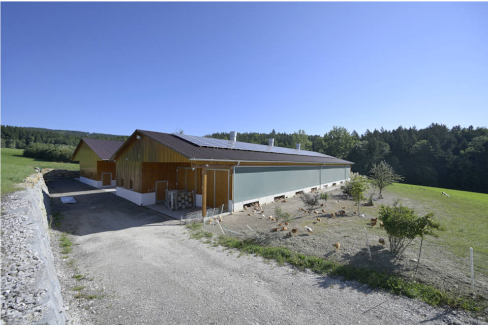 Podcast Folge 21 Haltungssystem Öko Masthähnchen 1