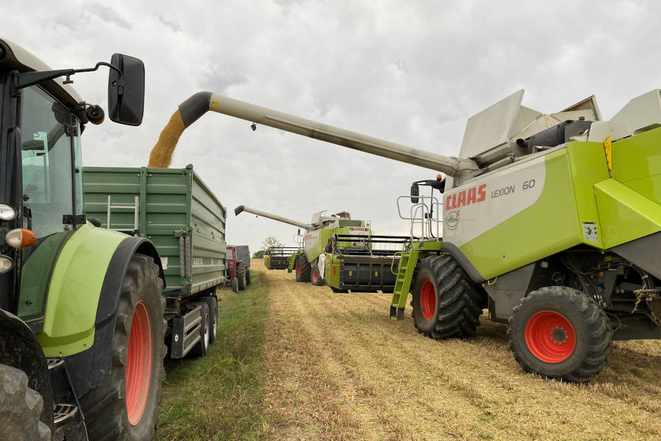 Etwas zeitversetzt wirkte sich die positive Entwicklung am Bio-Markt auch auf die Bio-Getreidepreise aus. (Foto: Goldberger)