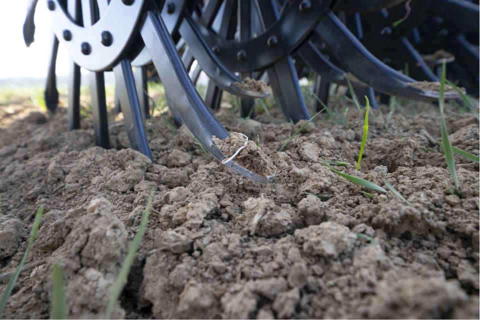 Die Hacklöffel der Rollhacken sind so konzipiert, dass sie bei richtigem Einsatz kaum Pflanzenverlust verursachen. (Foto: Pöttinger)
