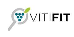 Logo des Projekts Vitifit