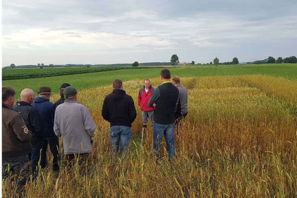 Besichtigung der Versuchsflächen (Quelle: Werner Vogt-Kaute, Beratung für Naturland)