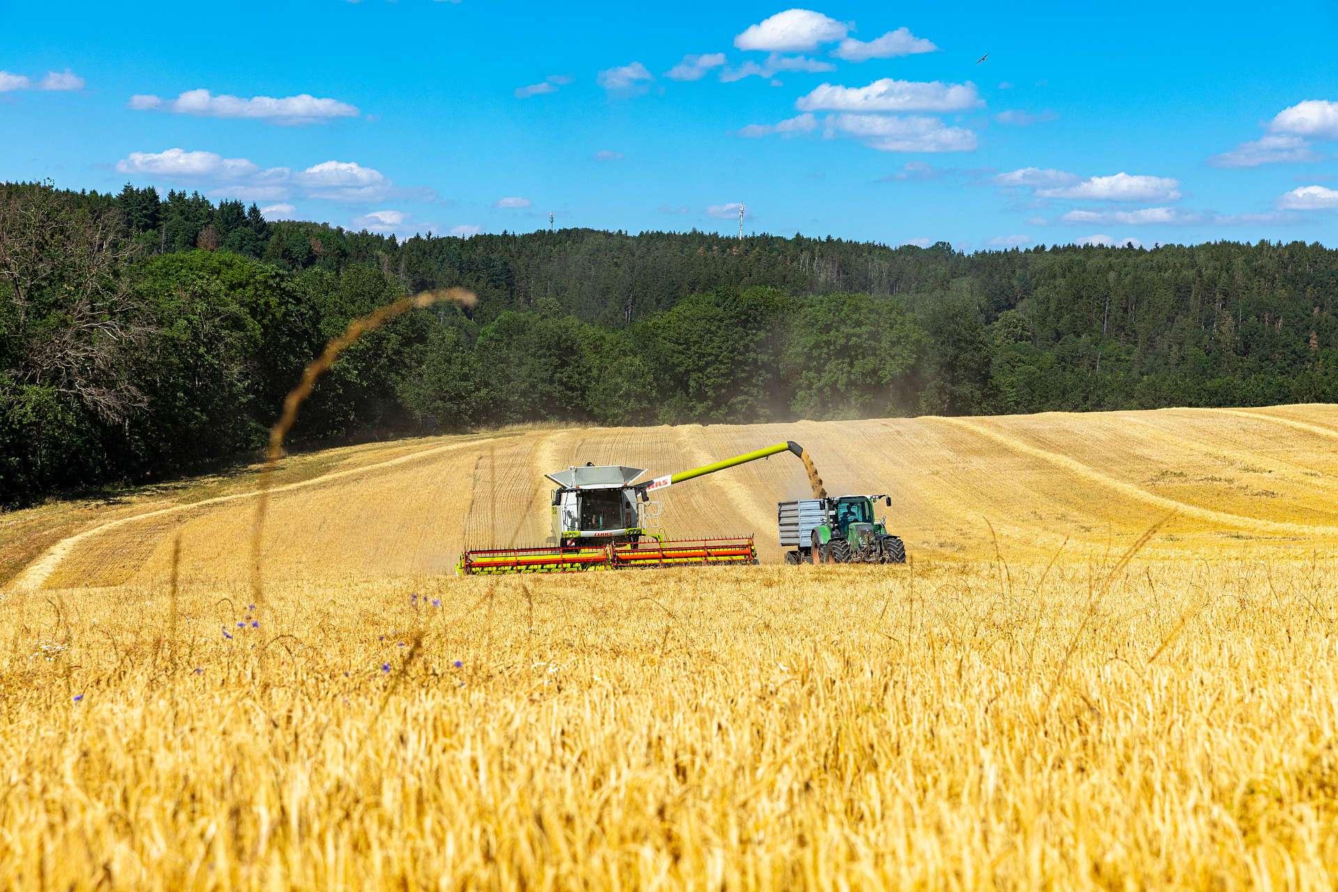 Mähdrescher (Quelle: Naturland e.V.)