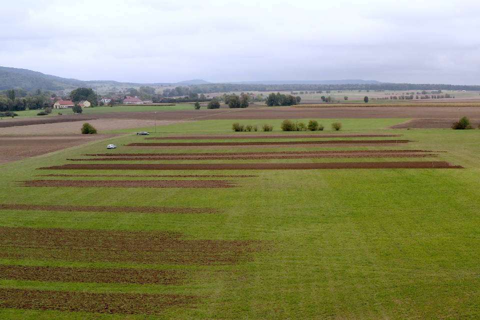 Versuchsfläche nach dem Einsatz verschiedener Bodenbearbeitungsgeräte