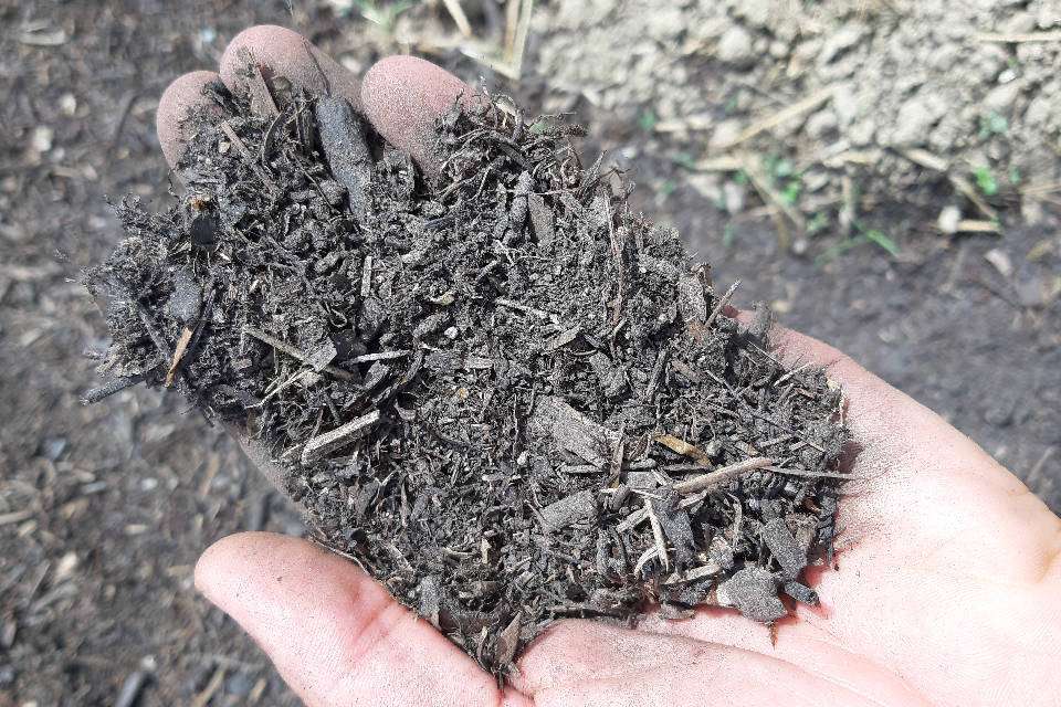 Kompost (Quelle: Johannes Weiß, Beratung für Naturland)