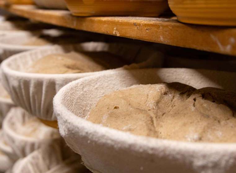 Backstube (Quelle: Hofpfisterei)