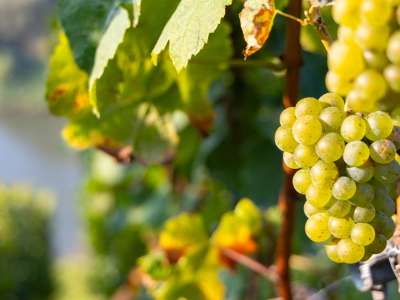 Biodiversität (Quelle: Naturland e.V.)