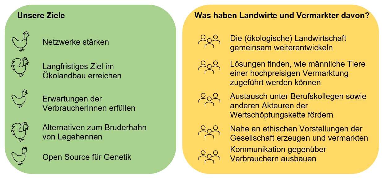 Sojabohne kurz vor der Ernte (Quelle: Schneider, Ufop)