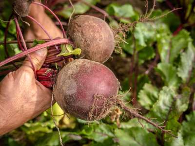 Biodiversität (Quelle: Naturland e.V.)
